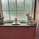 Дом отдыха Dream By The Sea