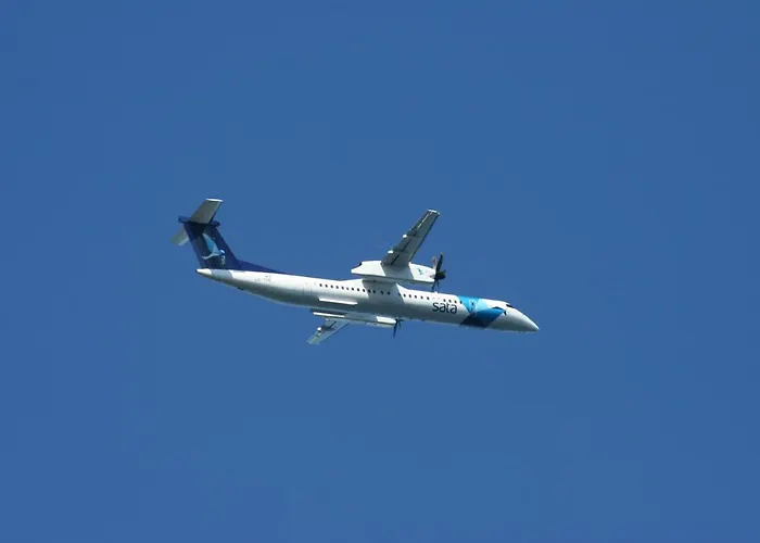 Dream By The Sea マダレナ