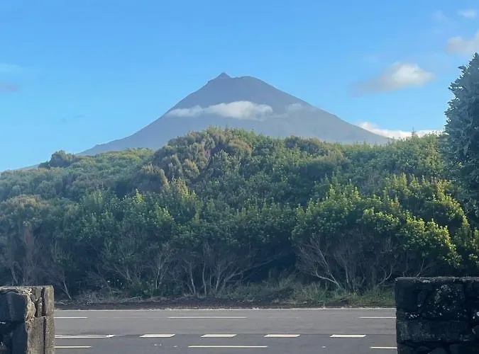 Dream By The Sea マダレナ