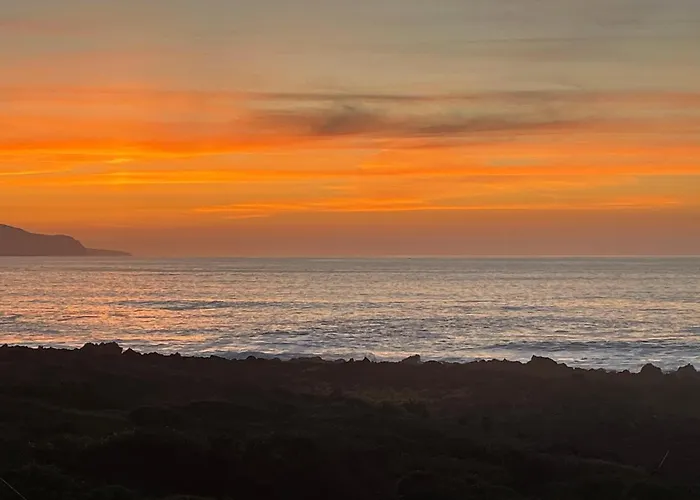 Dream By The Sea * マダレナ