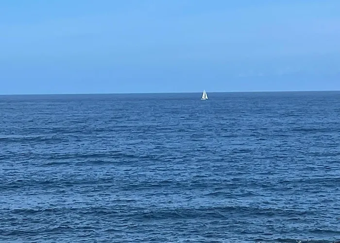 Dream By The Sea * マダレナ