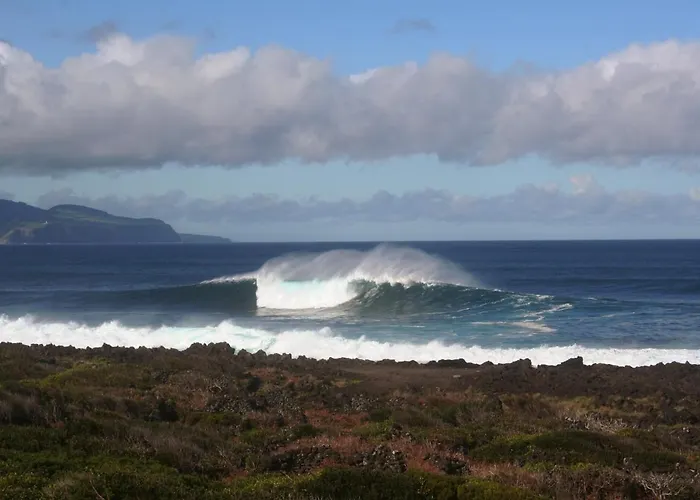 Dream By The Sea * マダレナ